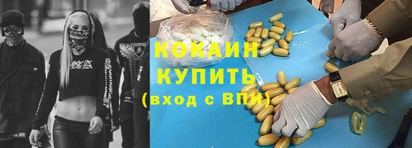 mix Богородицк